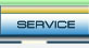 SERVICE